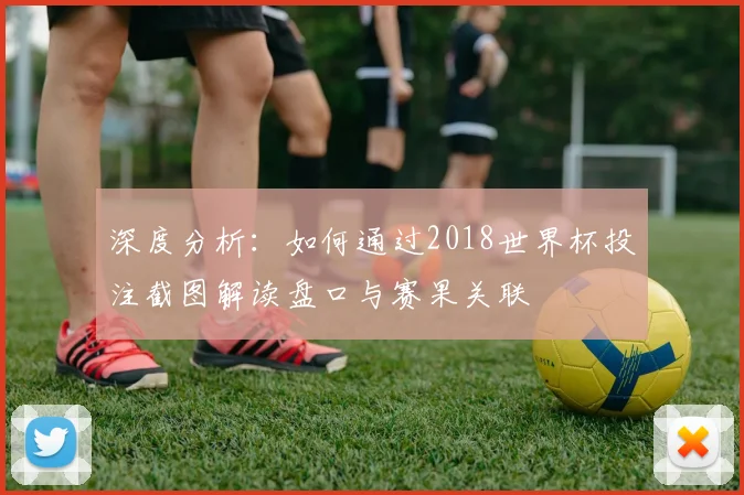 深度分析：如何通过2018世界杯投注截图解读盘口与赛果关联