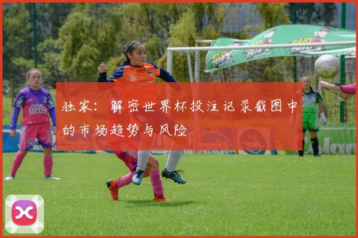 独家:解密世界杯投注记录截图中的市场趋势与风险