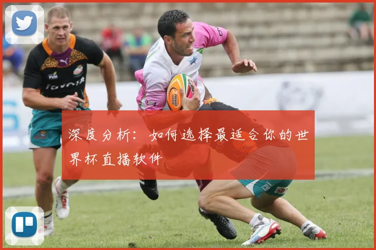 深度分析：如何选择最适合你的世界杯直播软件