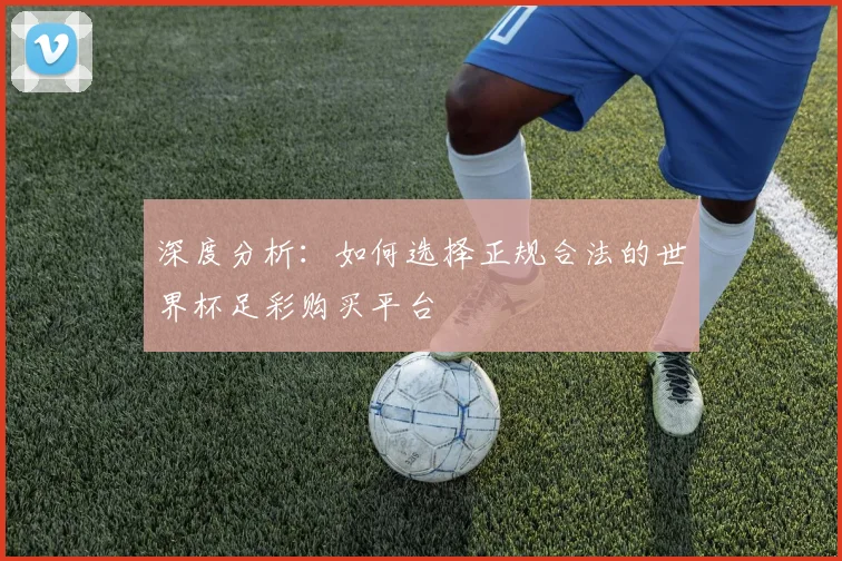 深度分析：如何选择正规合法的世界杯足彩购买平台