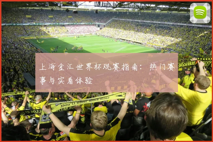 上海金汇世界杯观赛指南:热门赛事与实看体验